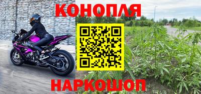 эйфоретик Краснодар