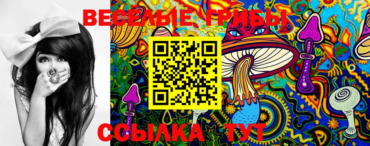 Кизляр  Псилоцибиновые грибы Cubensis  Вход с VPN  Псилоцибиновые грибы GOLDEN TEACHER 